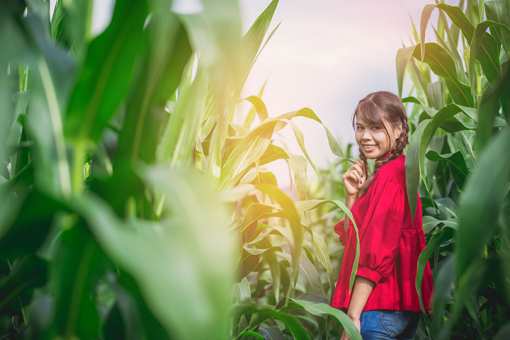 The 9 Best Corn Mazes in California!