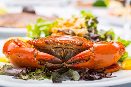 9 Best Places for Crab in California!