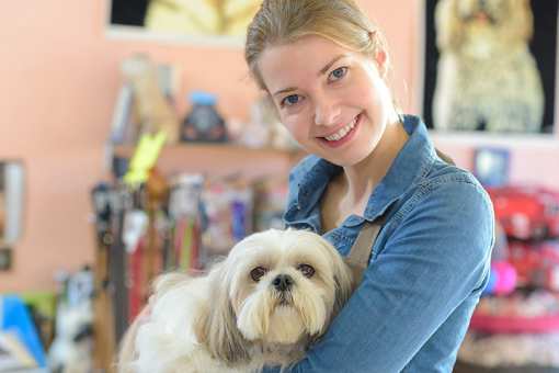 Best Pet Boutiques in California!