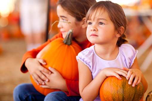 The 10 Best Pumpkin Picking Spots in California!